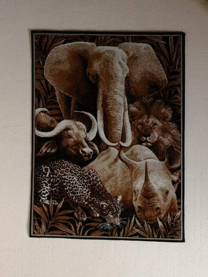 All Over Africa Guest House Kempton Park Esterno foto